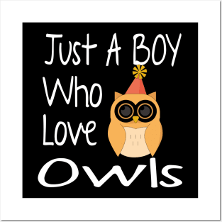 Just A Boy Who Love Owls  Funny Gift Posters and Art